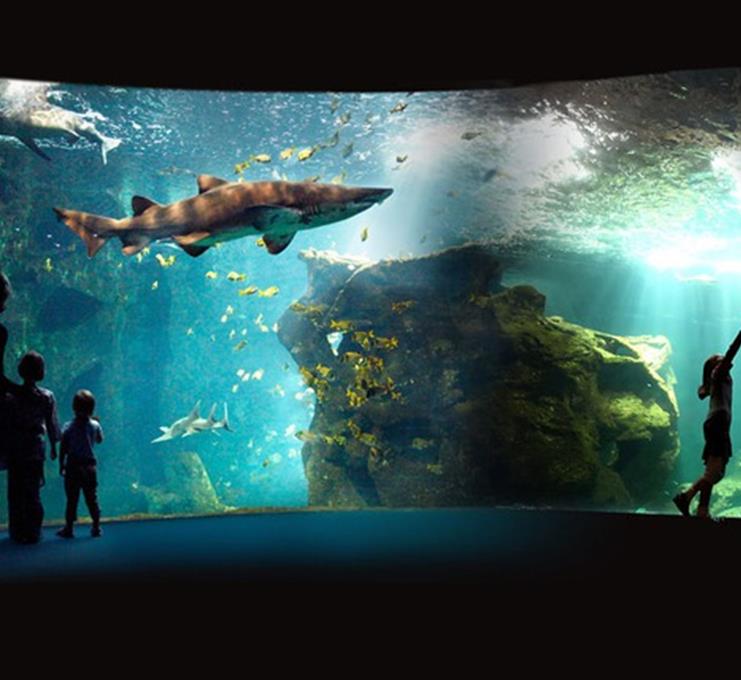 L'Aquarium de La Rochelle - 